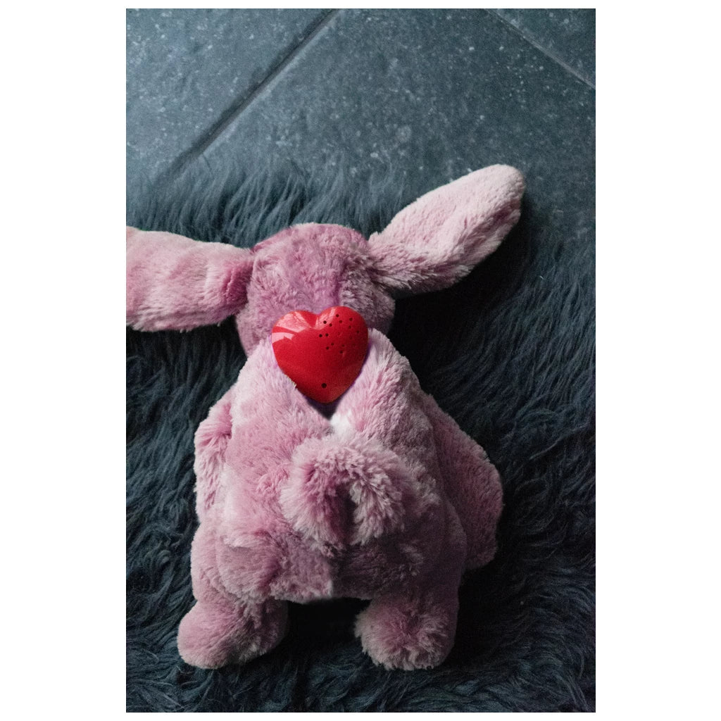 Cozy Dog Bunny met hartslag en warmte steentjes – Bruin
