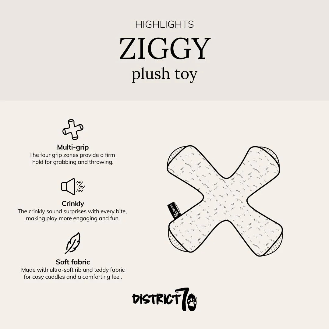 District 70 ZIGGY Interactief Hondenspeeltje met Pieper en Knisper