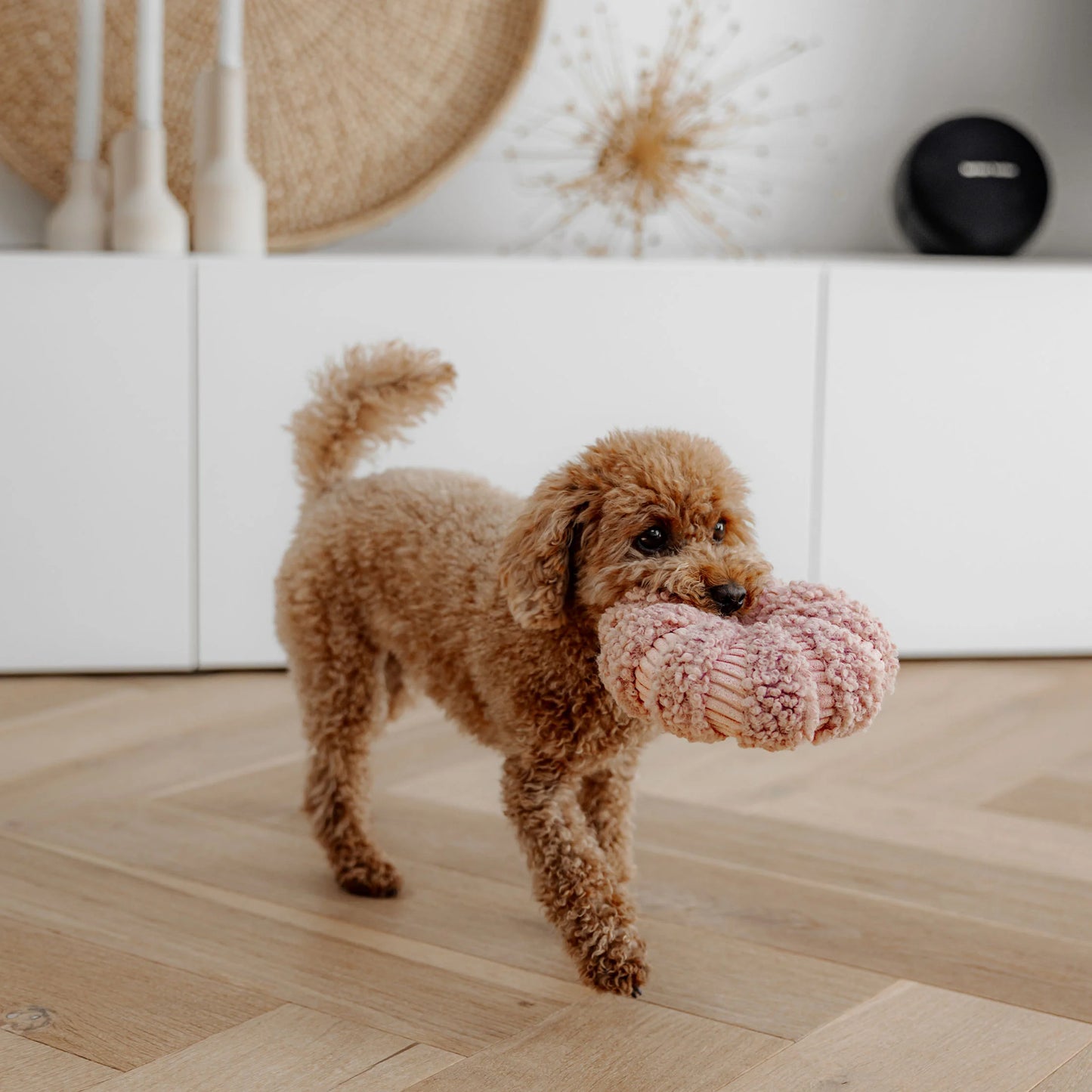 District 70 DAISY Snuffelspeelgoed voor Honden Mentale Uitdaging en Anti-Verveling