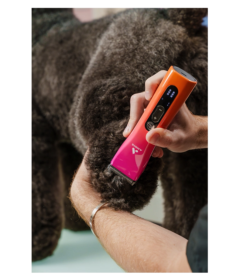 Andis ProClip 5-in-1 Sunset Accu Trimmer met Verstelbare Scheerkop