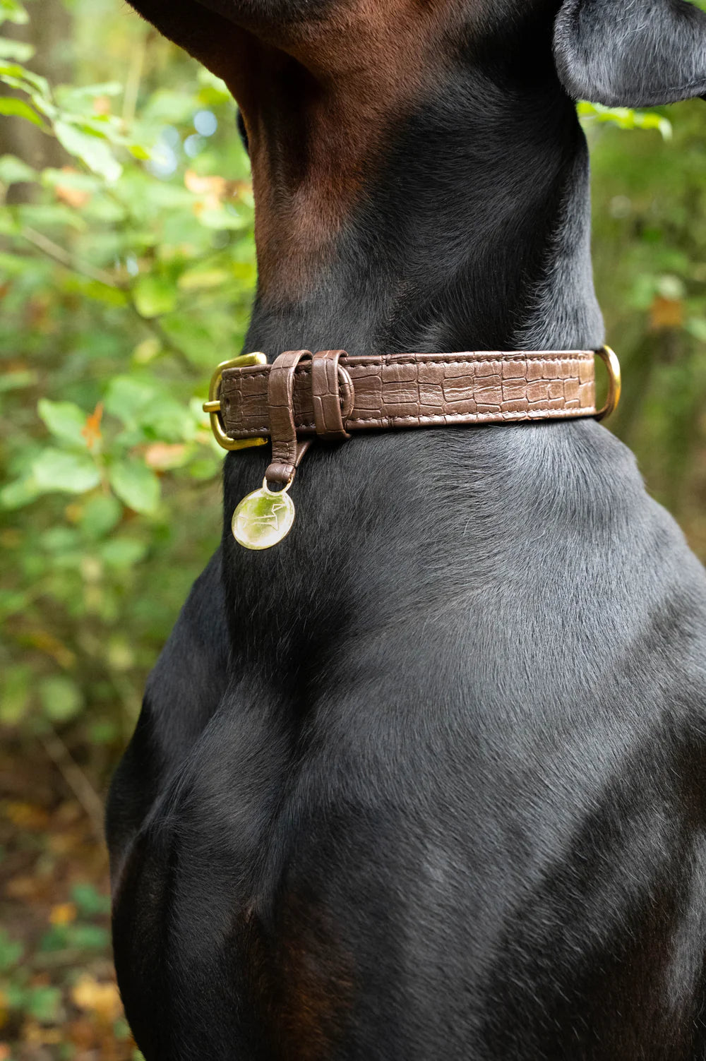 Hondenhalsband Luxe Leer met Naam Penning – Klassiek (Croco)