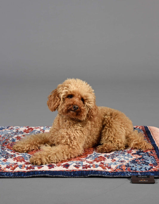 Design Hondenkleed Pets Revolution – Perzisch motief