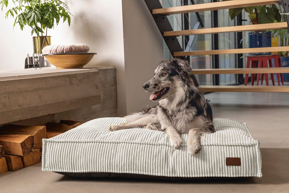 Designed by Lotte Ribbed Hondenkussen – Trendy comfort