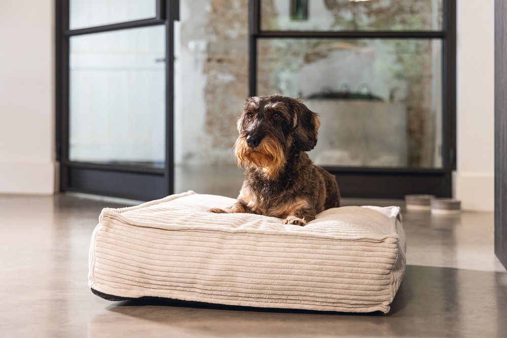 Designed by Lotte Ribbed Hondenkussen – Trendy comfort