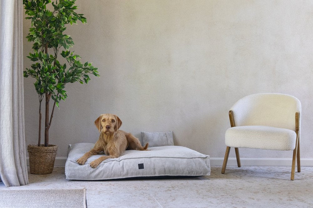 Designed by Lotte Ribbed Hondenkussen – Trendy comfort