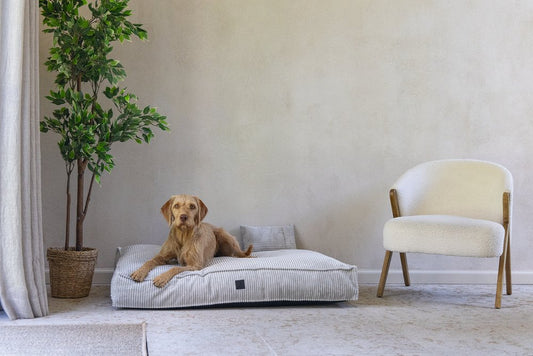 Designed by Lotte Ribbed Hondenkussen – Trendy comfort