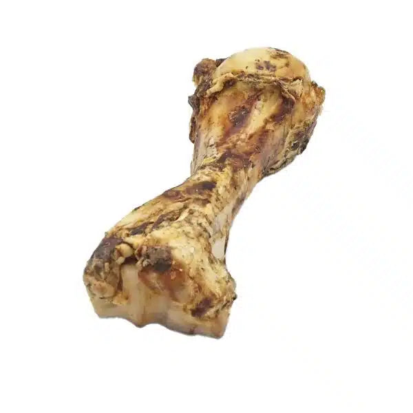 Dino/varkensbot - mini (natuurlijke snack)
