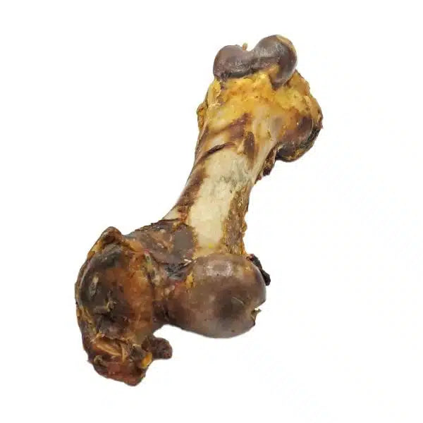 Dinbot - maat XL (natuurlijke snack)