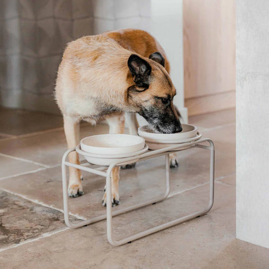 District 70 Butler Voerbakstandaard – Verhoogd eten met stijl Beige