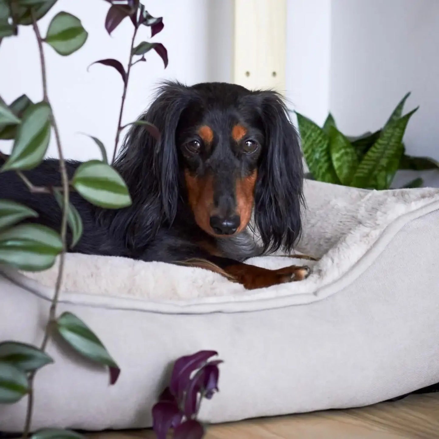 Snug Box Bed – Zand & compact box comfort