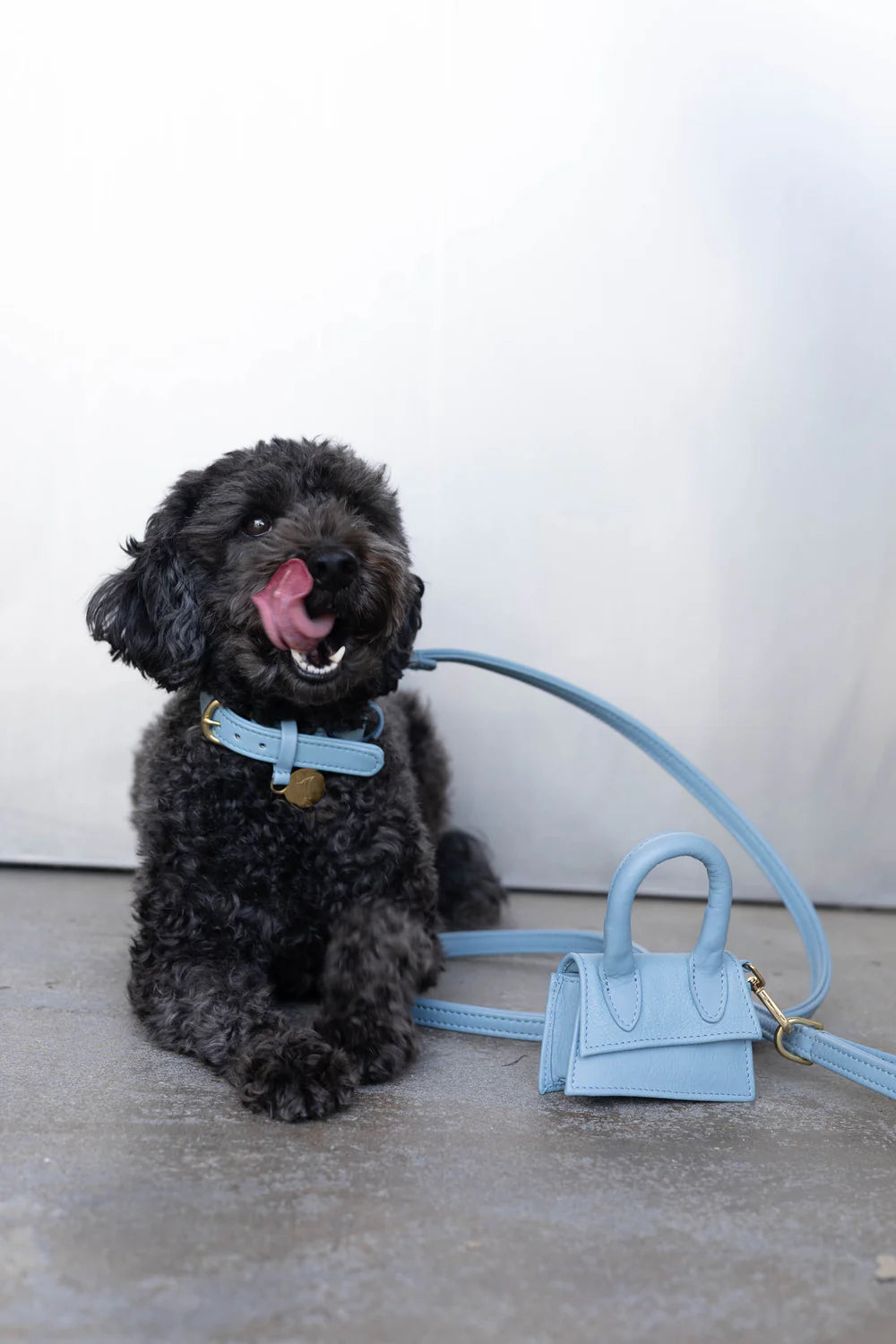 Designer Bag Beloningstasje & Poepzakdispenser – Blauw
