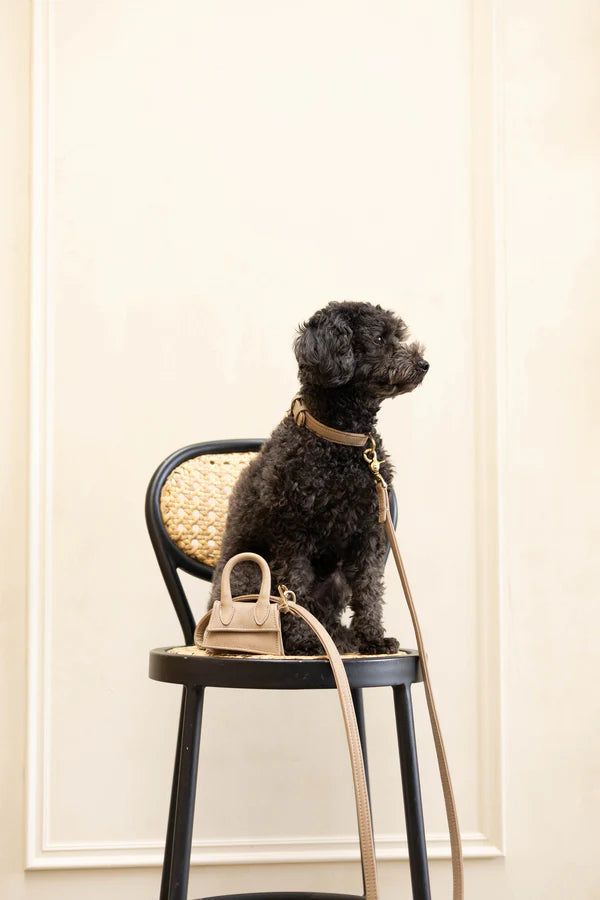 The Dog Musthaves Hondenlijn – Klassiek Zand met messing afwerking