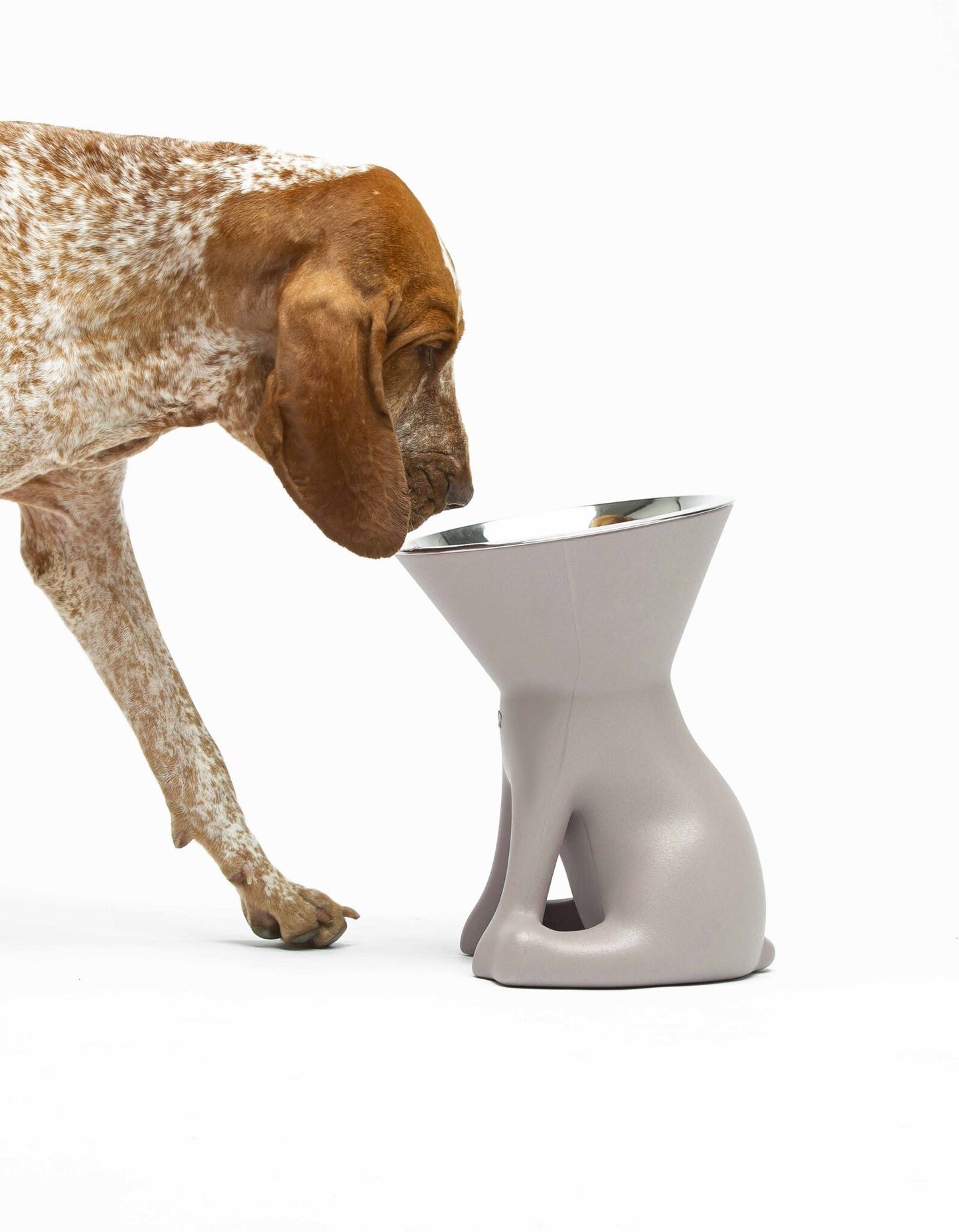 United Pets Elizabeth – The Queen of Bowls