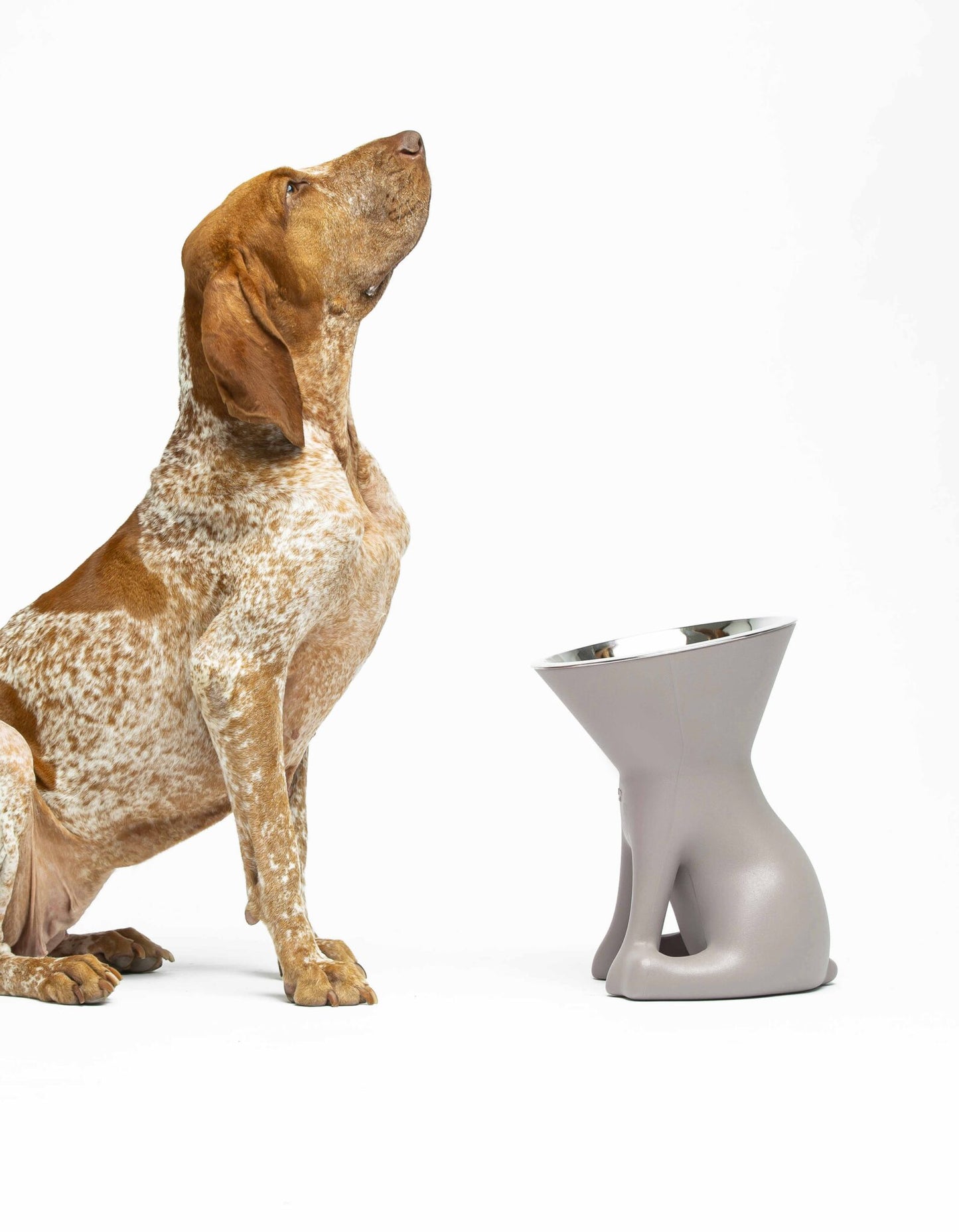 United Pets Elizabeth – The Queen of Bowls