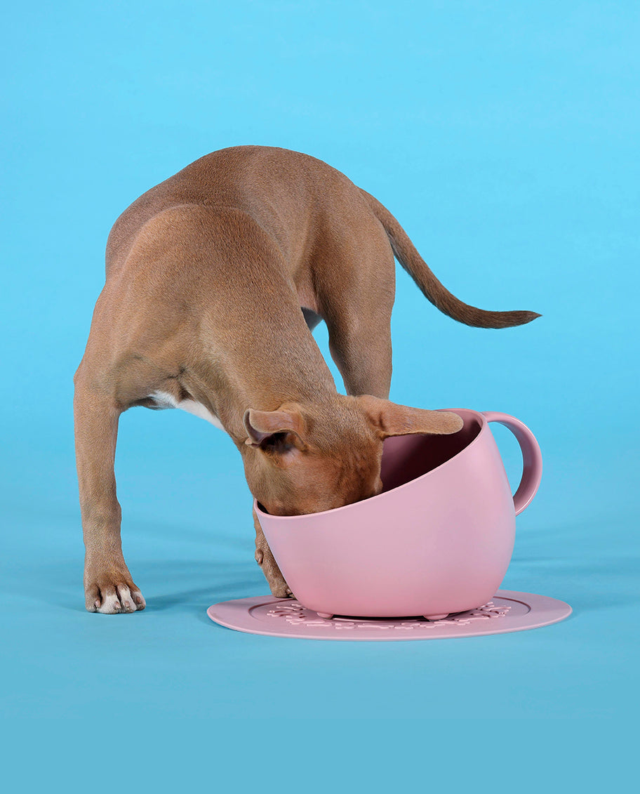 United Pets “Set Cup” – Grote antislip bak + mat - Roze