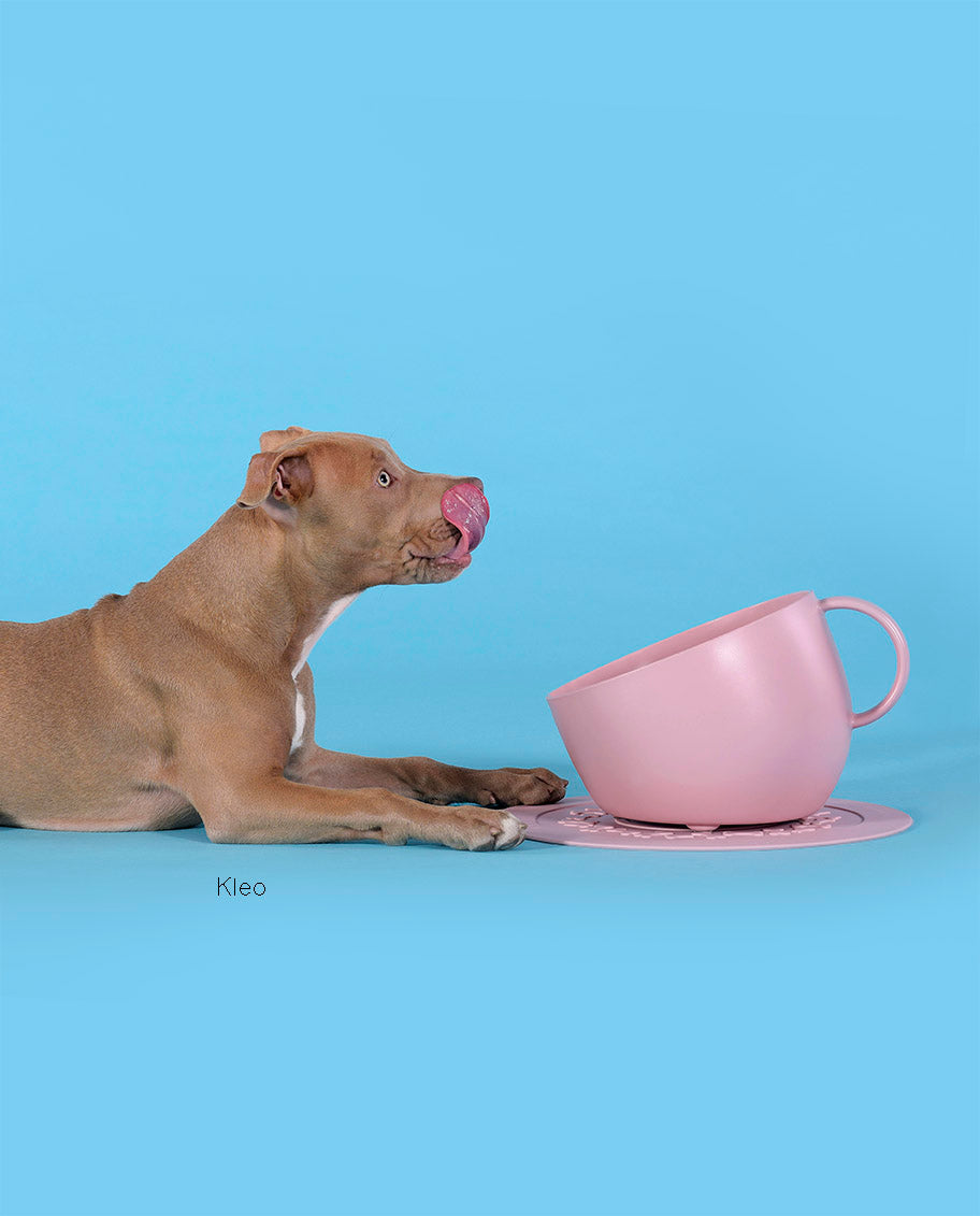 United Pets “Set Cup” – Grote antislip bak + mat - Roze