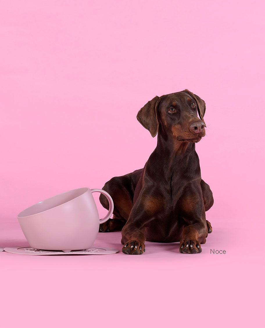 United Pets “Set Cup” – Grote antislip bak + mat - Roze