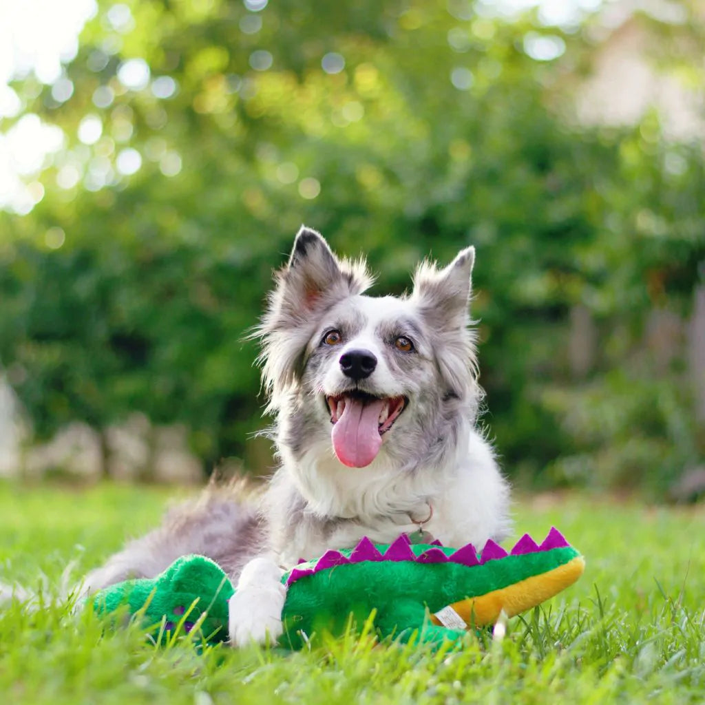 ZippyPaws Grunterz – Alvin the Alligator - Pluche Hondenspeelgoed