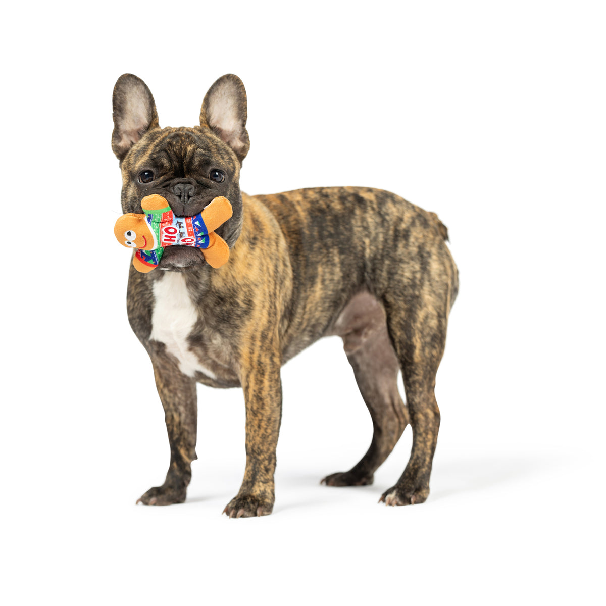 Lulubelles Tiny Tuff Ugly Sweater Party – Kerstspeelgoed Hond (2 stuks)
