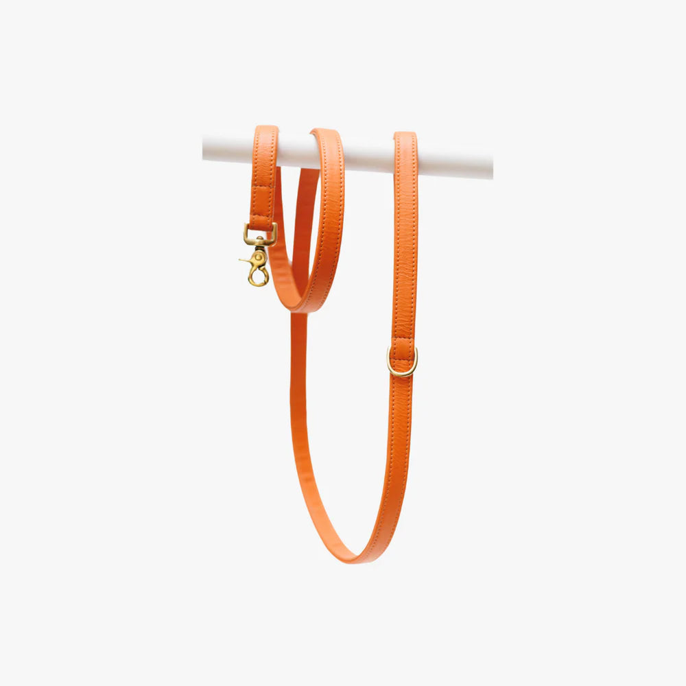 Luxe hondenlijn oranje messing hardware