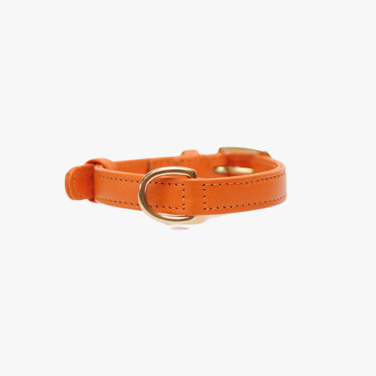 Luxe leren hondenhalsband met naampenning