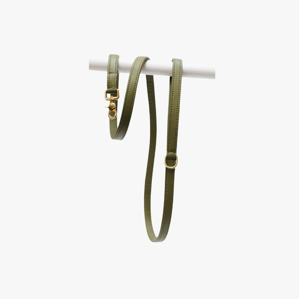 Luxe hondenlijn groen messing hardware