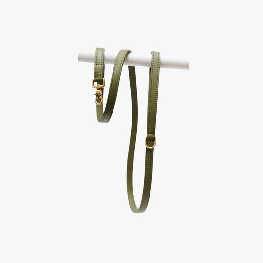 Luxe hondenlijn groen messing hardware