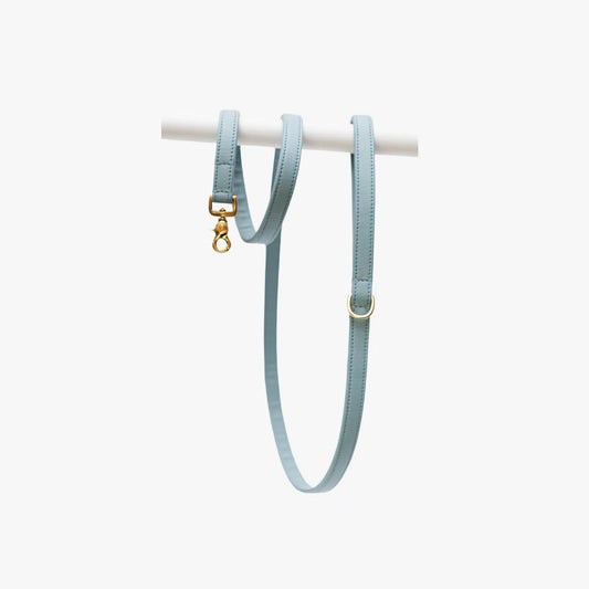 Luxe hondenlijn blauw messing hardware