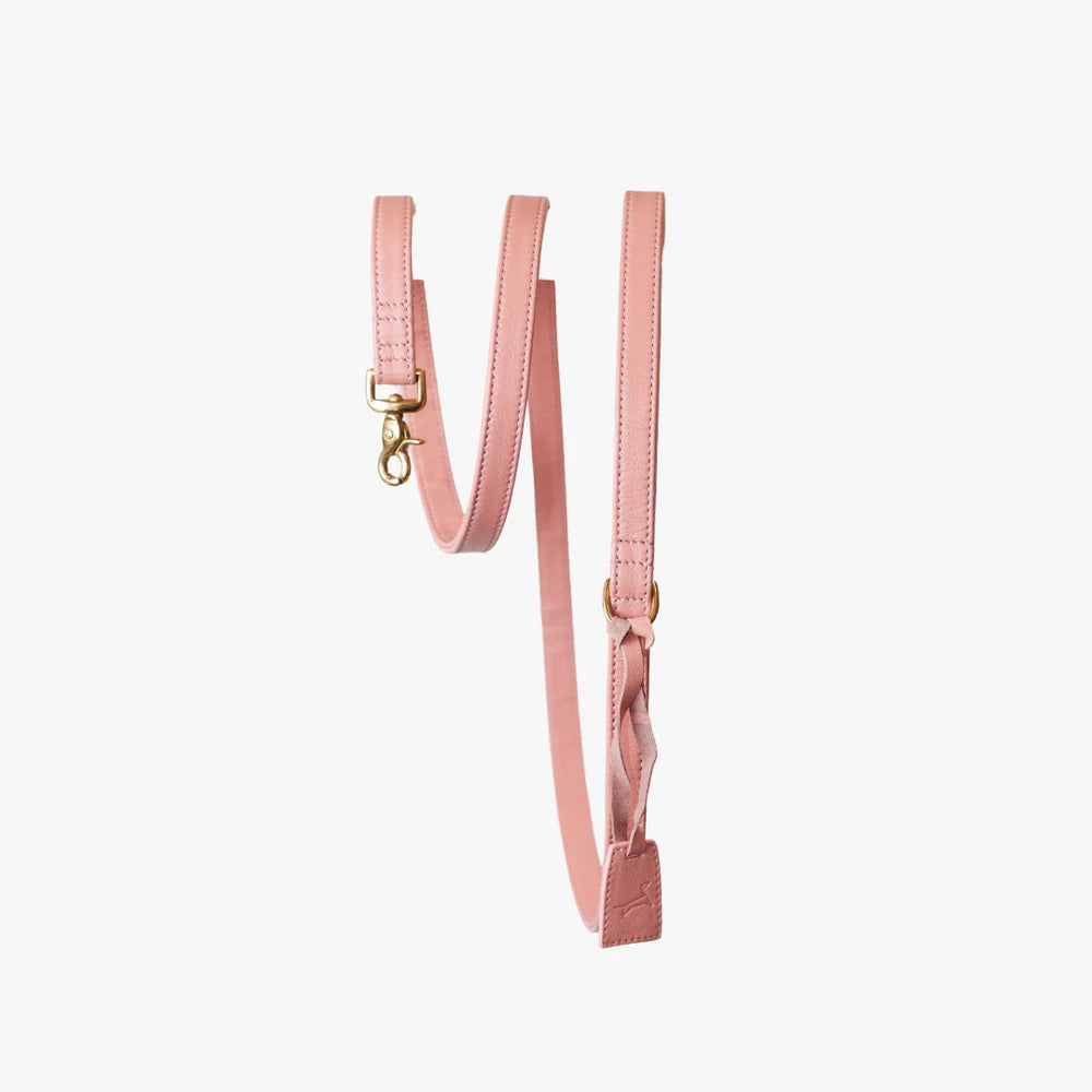 Luxe hondenlijn roze messing hardware