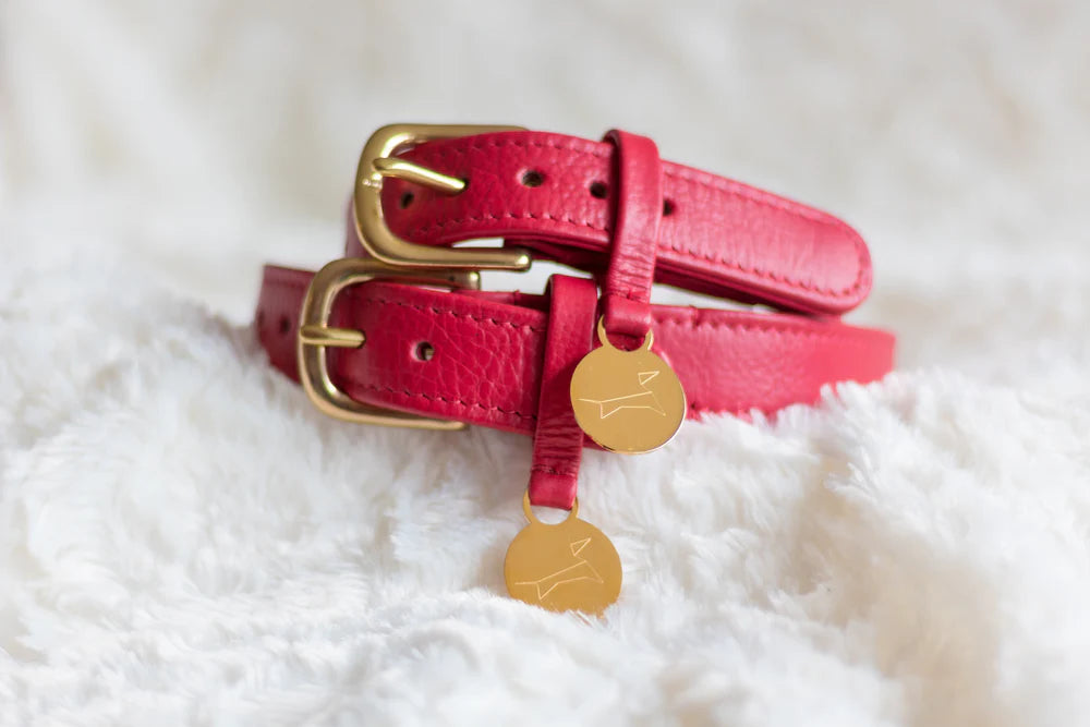 Hondenhalsband Luxe Leer met Naam Penning – Klassiek (Royal Red)