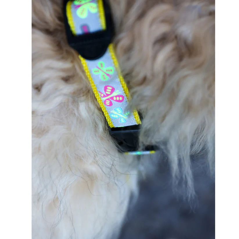 Walk that Dog! - Cherry Blossom Halsband (15 mm)