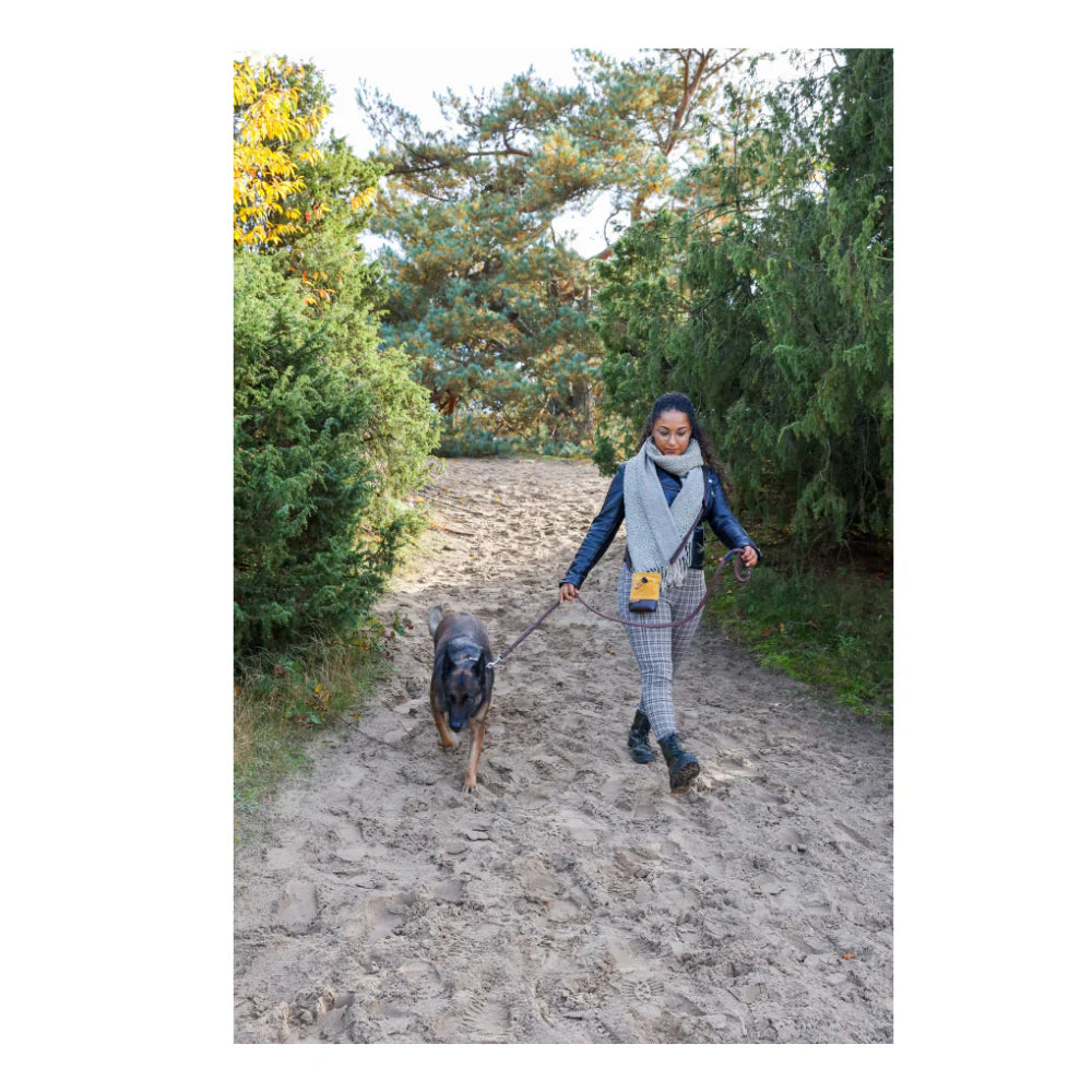 Walk that Dog! Wandellijn Mocca | 13 & 17 mm – Femke’s Dog Store