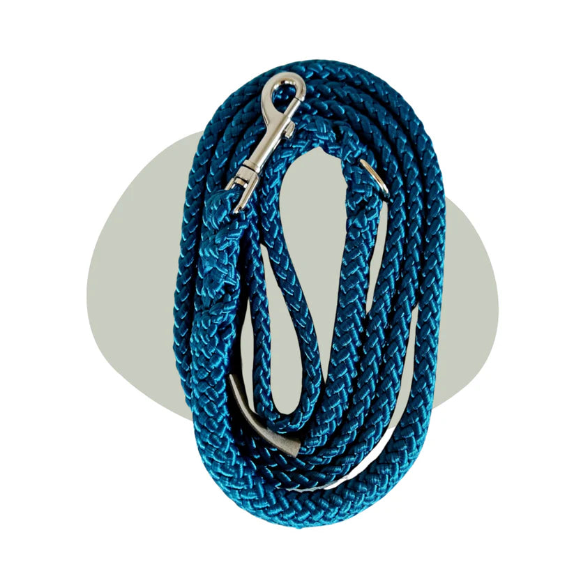 Walk that Dog! Wandellijn Petrol | 13 & 17 mm – Femke’s Dog Store