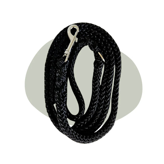 Walk That Dog Wandellijn Zwart | 13 & 17 mm – Femke’s Dog Store