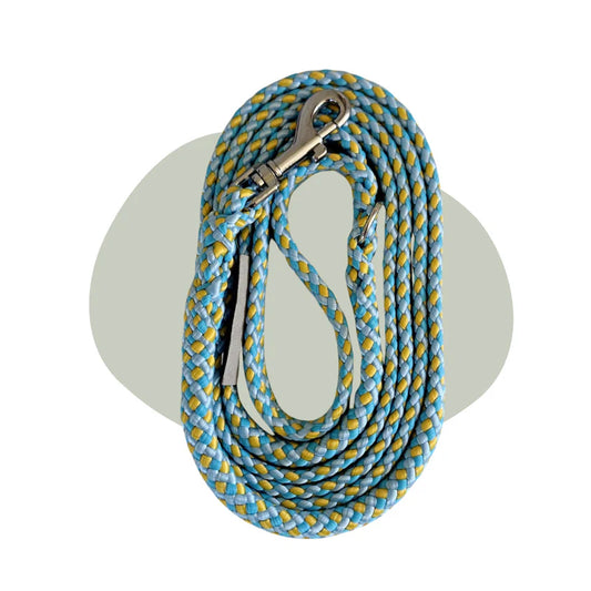 Walk that Dog! Wandellijn Sunny Beach | 13 & 17 mm – Femke’s Dog Store 