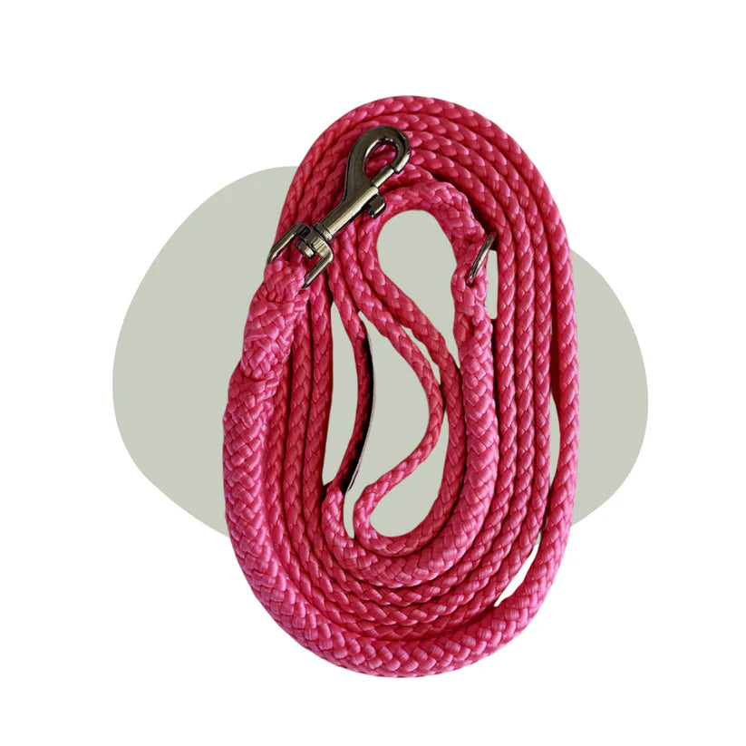 Walk that Dog! Wandellijn Neon Pink | 13 & 17 mm – Femke’s Dog Store