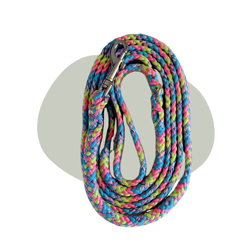 Walk that Dog! Wandellijn Bubblegum | 13 & 17 mm – Femke’s Dog Store 