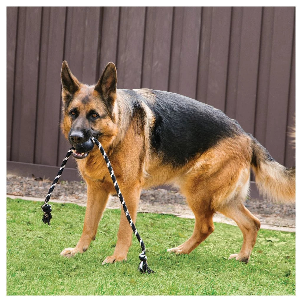 KONG Extreme Ball met Touw L | Duurzame Gooi- & Trekspeelbal