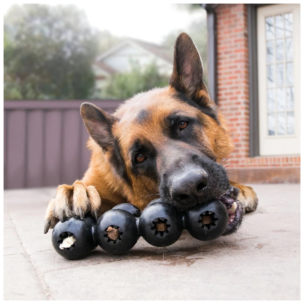 KONG Extreme Goodie Ribbon L Vulbaar Hondenspeeltje van Natuurlijk Rubber