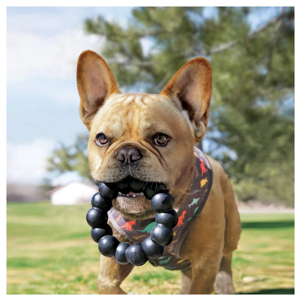 KONG Extreme Ring XL Kauwspeeltje van Natuurlijk Rubber