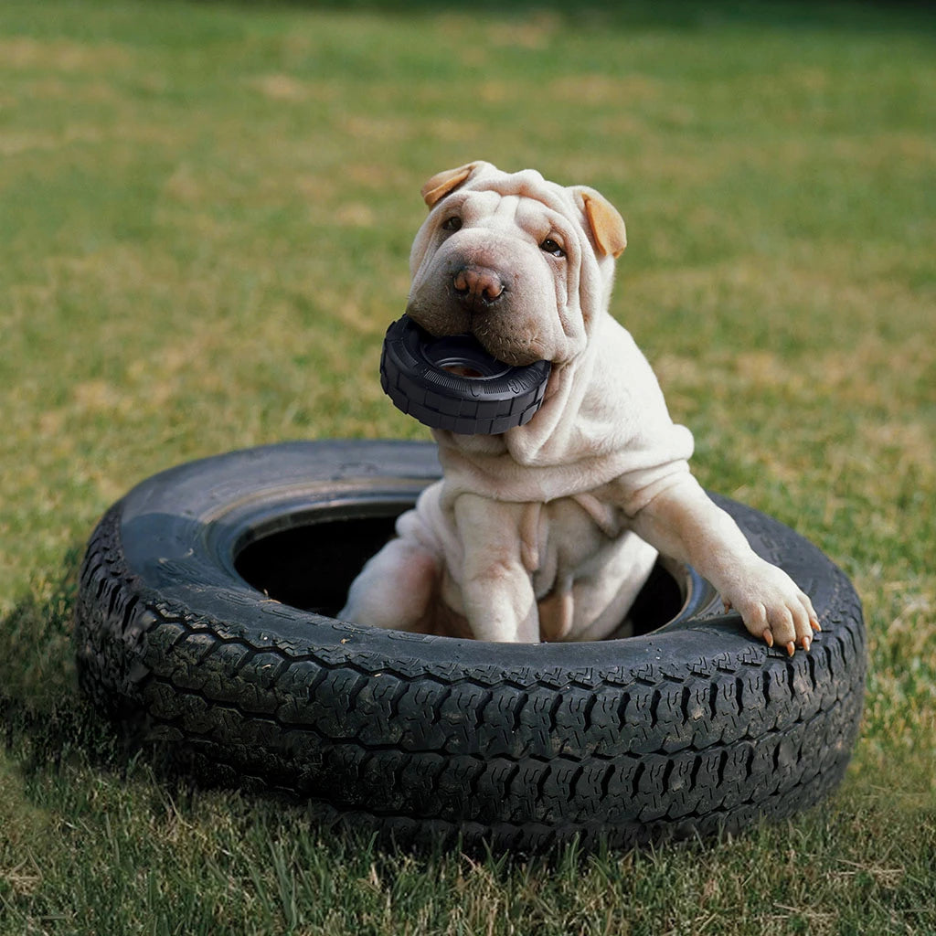 KONG Extreme Tyres Hondenspeeltje van Natuurlijk Rubber