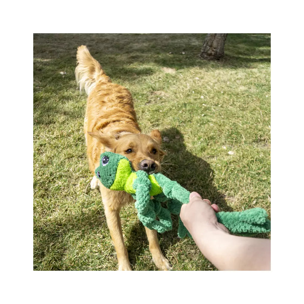 KONG Knots Floppy Frog – Stevig Knuffelspeeltje met Touwskelet & Piepers