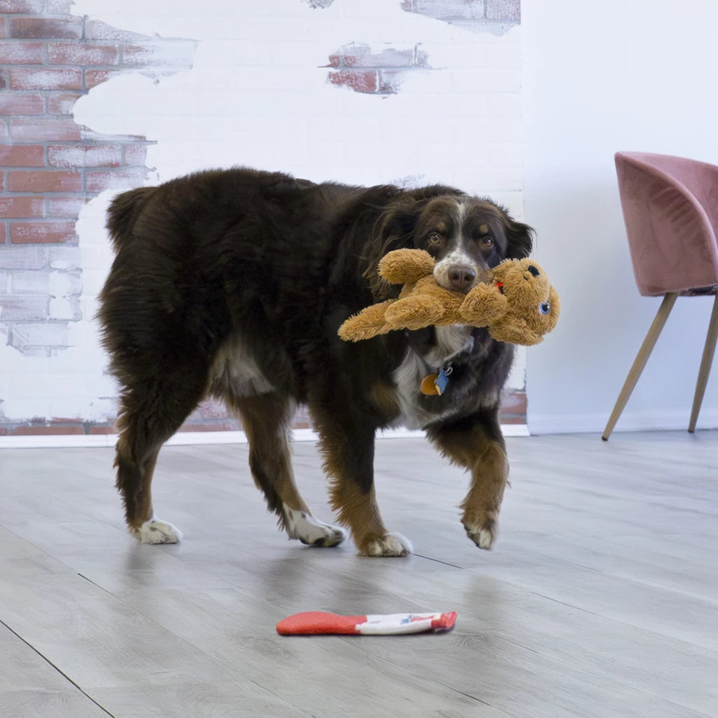 KONG Comfort Pups Goldie – Pluche Hondenspeelgoed