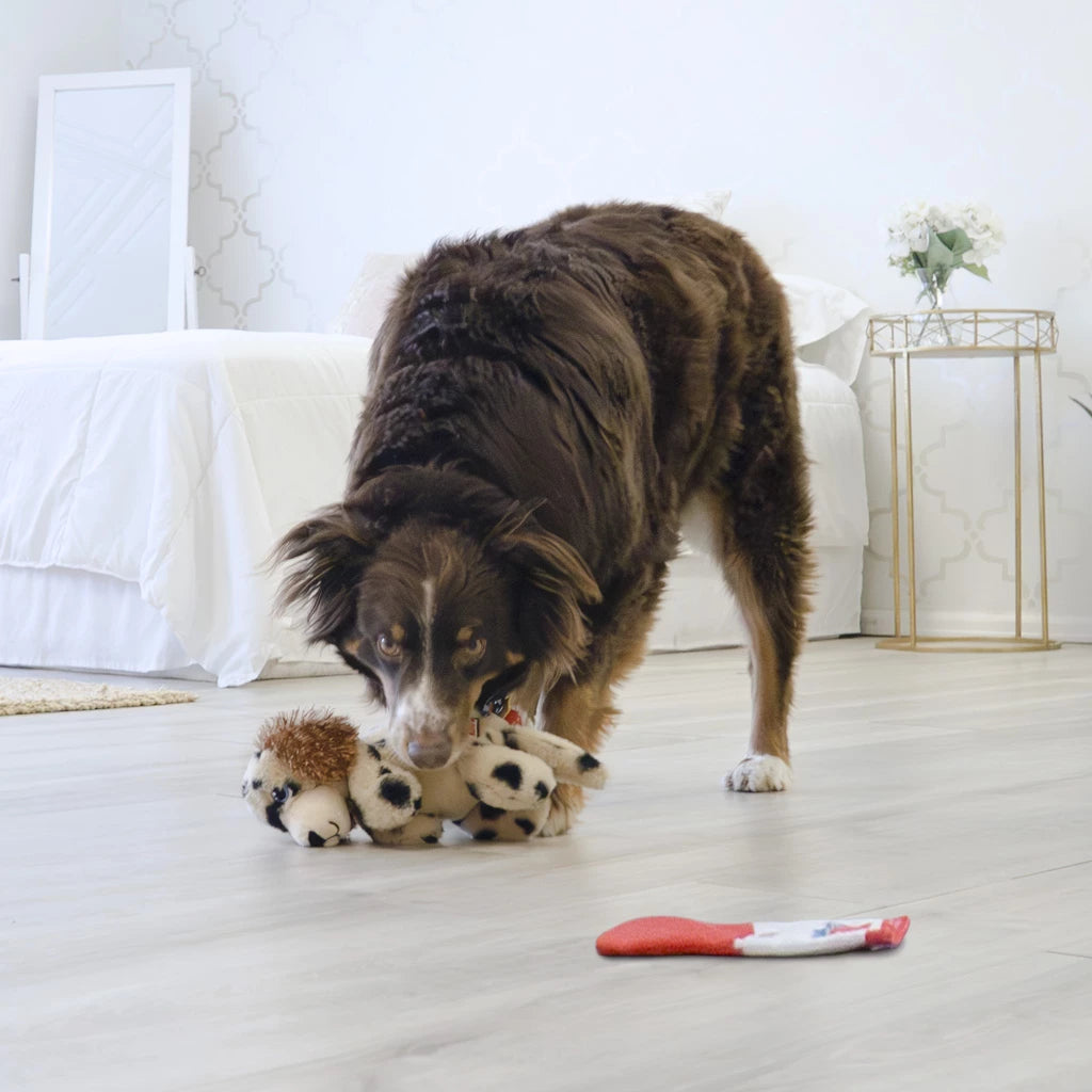 KONG Comfort Pups Spot - Pluche Hondenspeelgoed