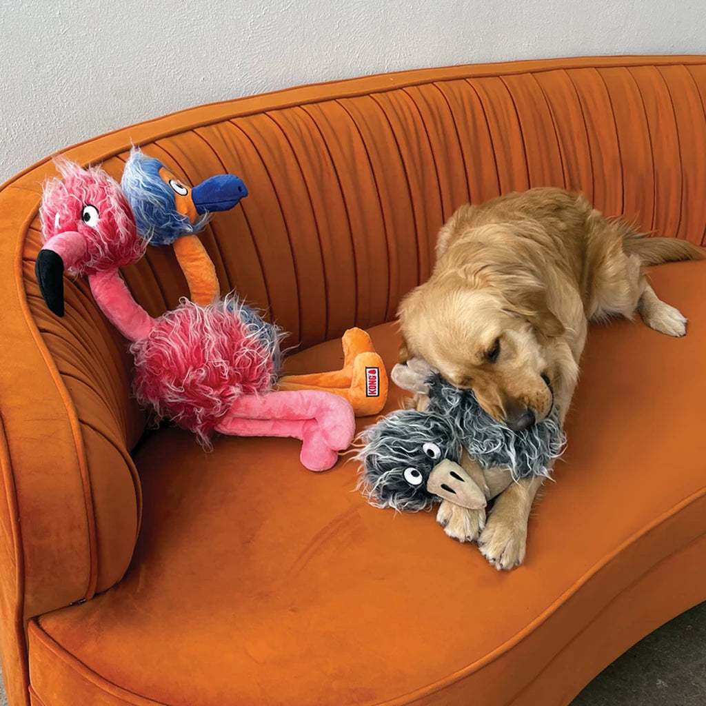 KONG Comfort Jumbo Birds Assorti Extra Grote Hondenknuffel met 2 Piepers