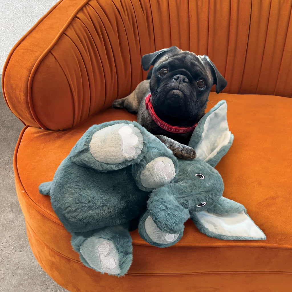 KONG Comfort Kiddos Olifant Pluche Hondenspeeltje