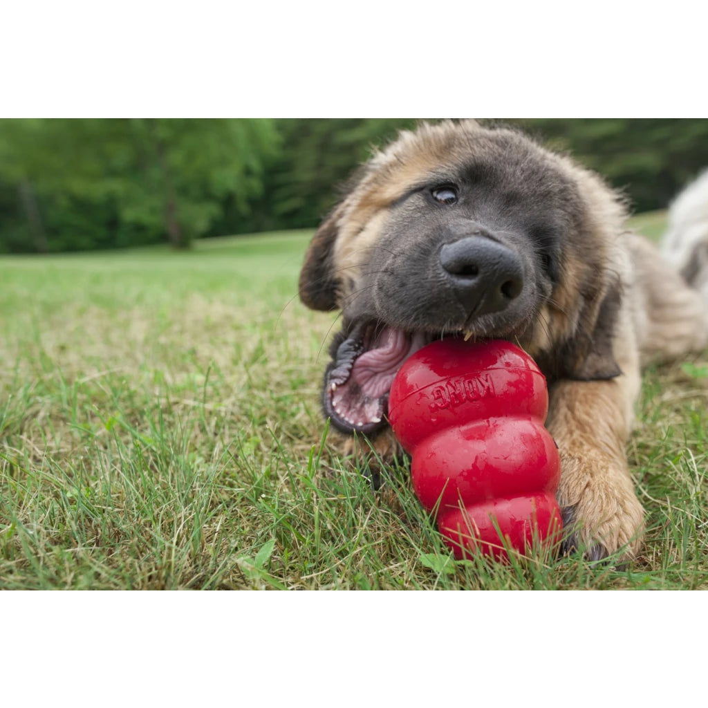 KONG Classic Hondenspeeltje van Natuurlijk Rubber