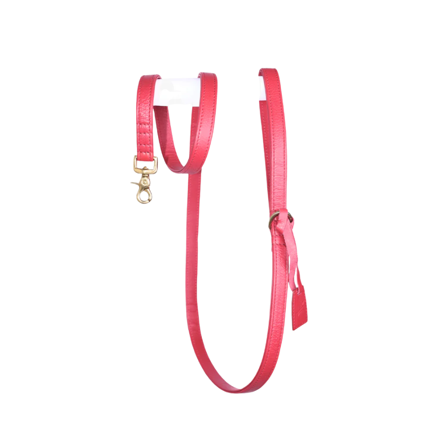 The Dog Musthaves Hondenlijn – Klassiek Royal Red met messing afwerking