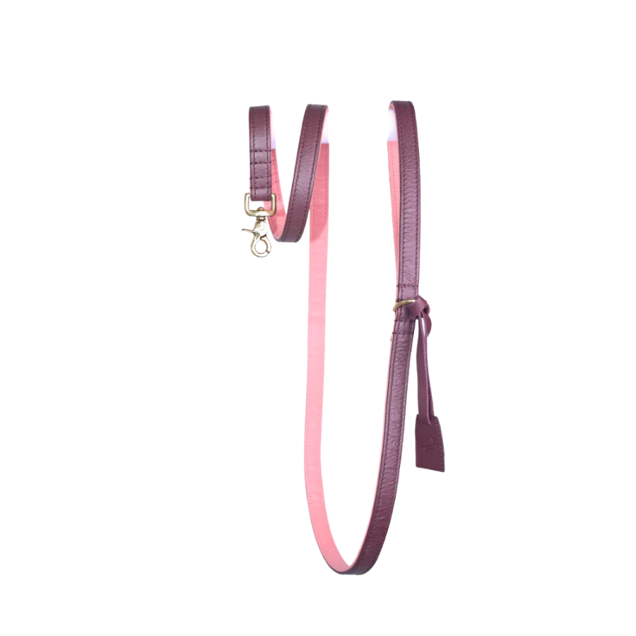 The Dog Musthaves Hondenlijn – Klassiek Two Tone met messing afwerking