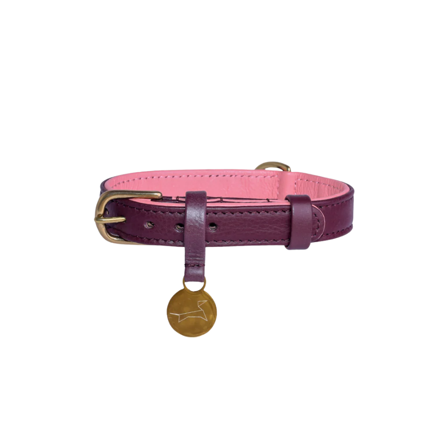 Hondenhalsband Luxe Leer met Naam Penning – Klassiek (Two Tone)